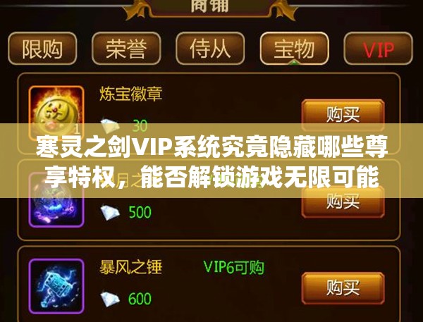 寒灵之剑VIP系统究竟隐藏哪些尊享特权，能否解锁游戏无限可能？