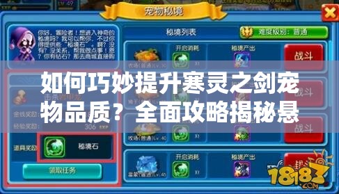 如何巧妙提升寒灵之剑宠物品质？全面攻略揭秘悬念！