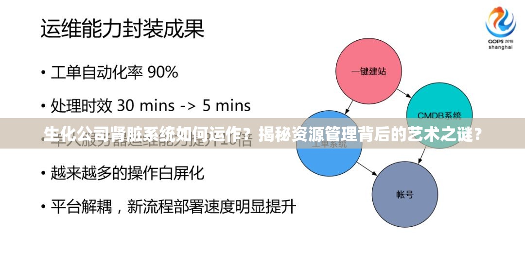 生化公司肾脏系统如何运作？揭秘资源管理背后的艺术之谜？