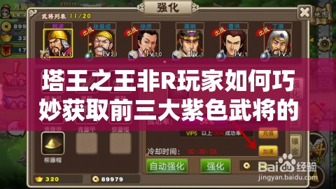 塔王之王非R玩家如何巧妙获取前三大紫色武将的绝密攻略？