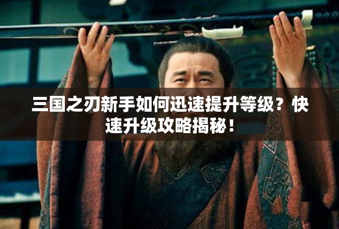 三国之刃新手如何迅速提升等级？快速升级攻略揭秘！