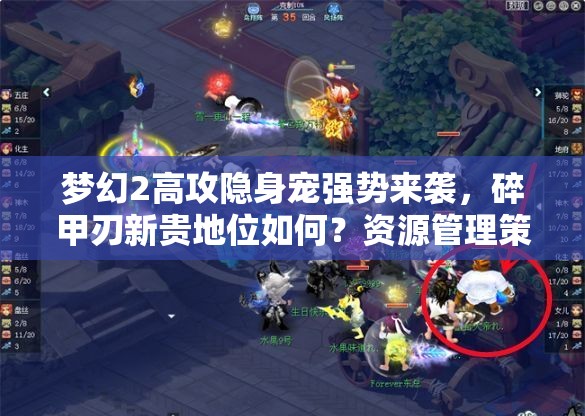 梦幻2高攻隐身宠强势来袭，碎甲刃新贵地位如何？资源管理策略成关键？