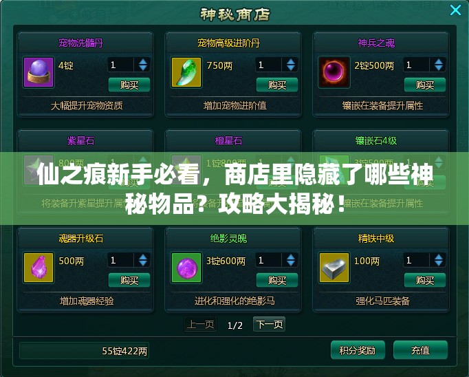 仙之痕新手必看，商店里隐藏了哪些神秘物品？攻略大揭秘！