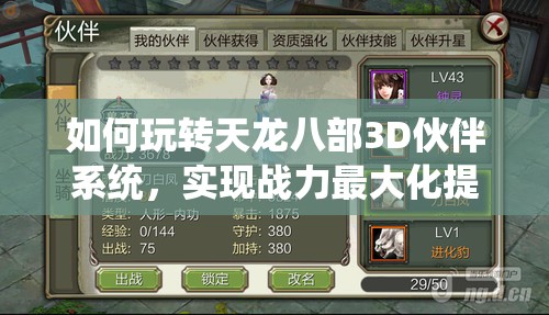 如何玩转天龙八部3D伙伴系统，实现战力最大化提升的秘密？