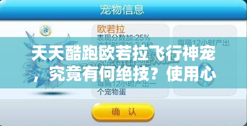 天天酷跑欧若拉飞行神宠，究竟有何绝技？使用心得大揭秘！