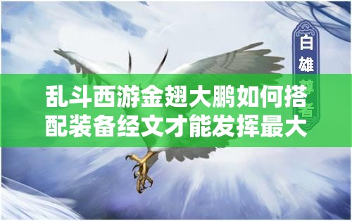 乱斗西游金翅大鹏如何搭配装备经文才能发挥最大战力？