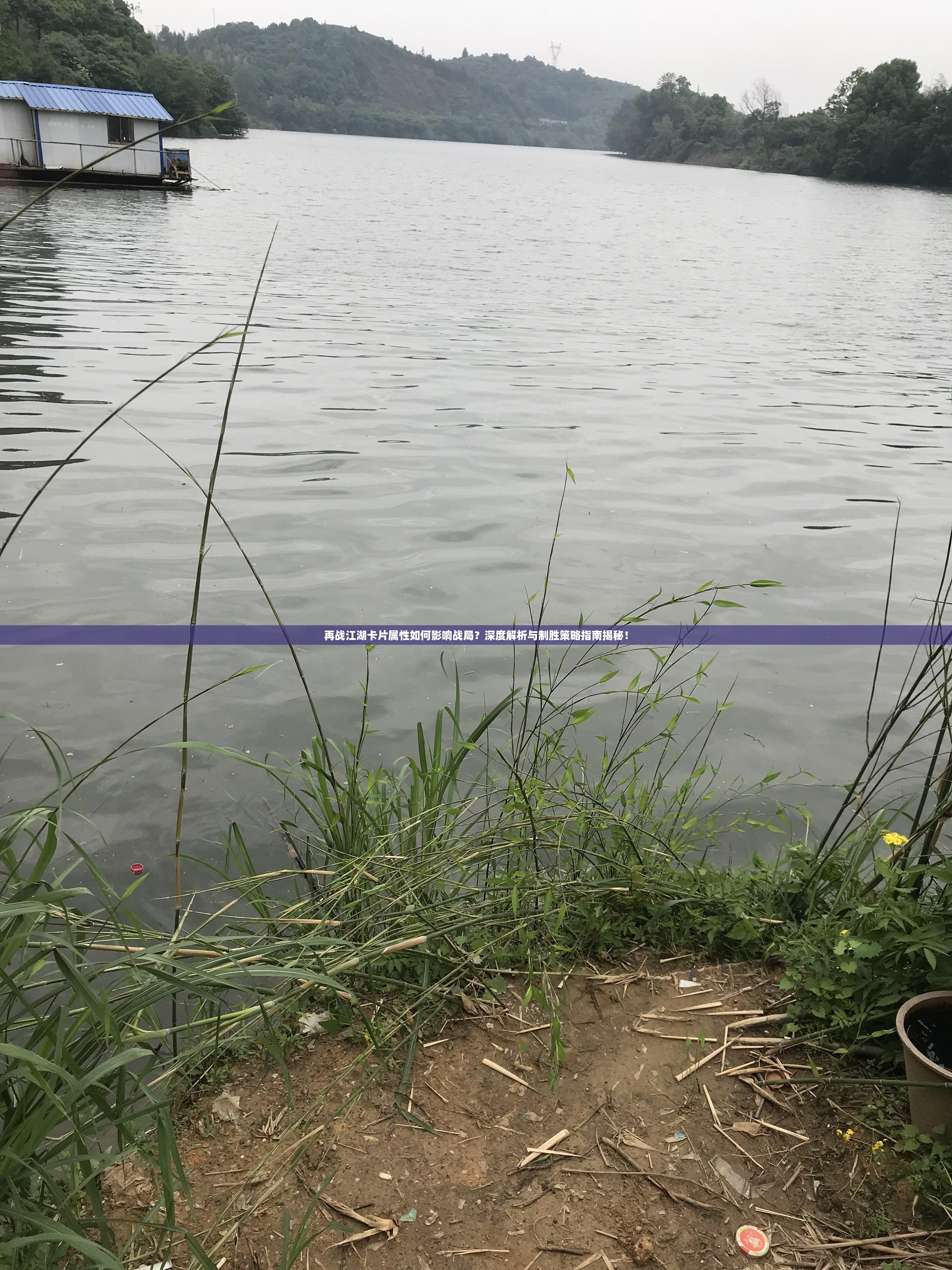 再战江湖卡片属性如何影响战局？深度解析与制胜策略指南揭秘！