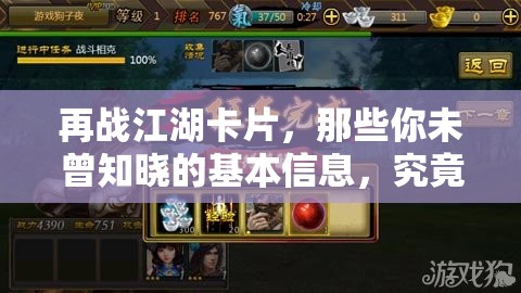 再战江湖卡片，那些你未曾知晓的基本信息，究竟隐藏着什么秘密？