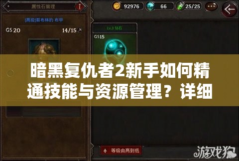 暗黑复仇者2新手如何精通技能与资源管理？详细攻略揭秘！