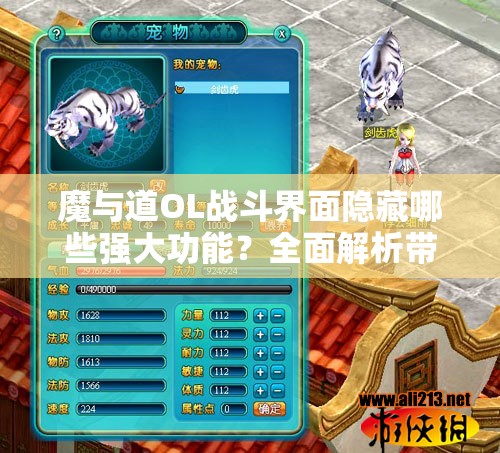 魔与道OL战斗界面隐藏哪些强大功能？全面解析带你揭秘！