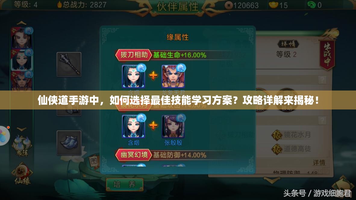 仙侠道手游中，如何选择最佳技能学习方案？攻略详解来揭秘！