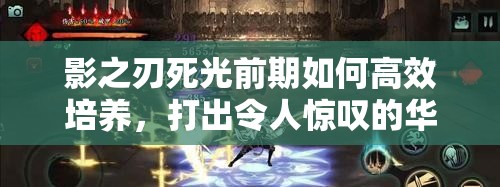 影之刃死光前期如何高效培养，打出令人惊叹的华丽无限连招秘籍？