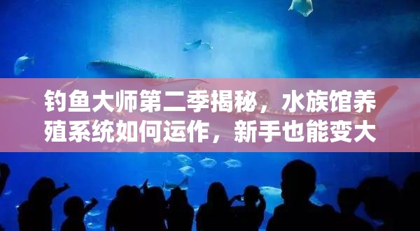 钓鱼大师第二季揭秘，水族馆养殖系统如何运作，新手也能变大师？