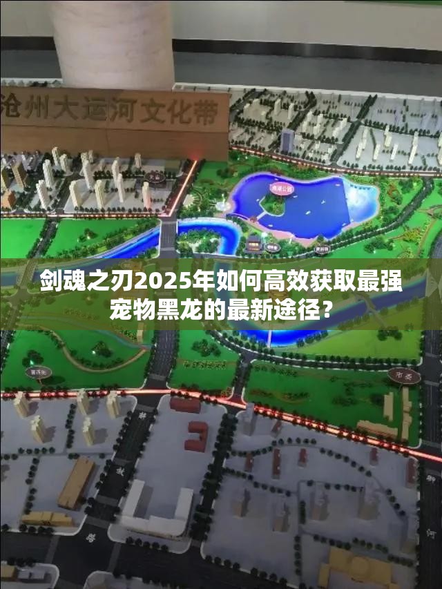 剑魂之刃2025年如何高效获取最强宠物黑龙的最新途径？