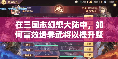在三国志幻想大陆中，如何高效培养武将以提升整体战力？