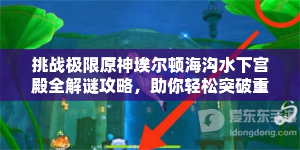挑战极限原神埃尔顿海沟水下宫殿全解谜攻略，助你轻松突破重重机关