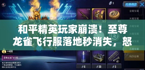 和平精英玩家崩溃！至尊龙雀飞行服落地秒消失，怒飙三大解决方案！