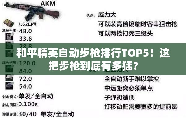和平精英自动步枪排行TOP5！这把步枪到底有多猛？